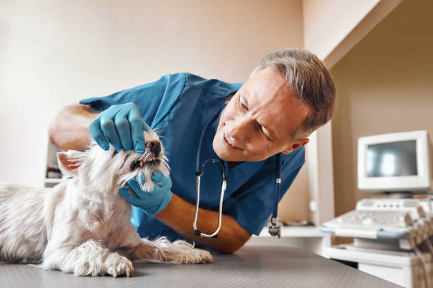 Best Emergency Root Canal Treatment in Washgton, IN