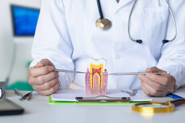 Best Pediatric Emergency Dentist in Washgton, IN
